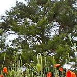 Haus Am Feld 2 By Interhome *