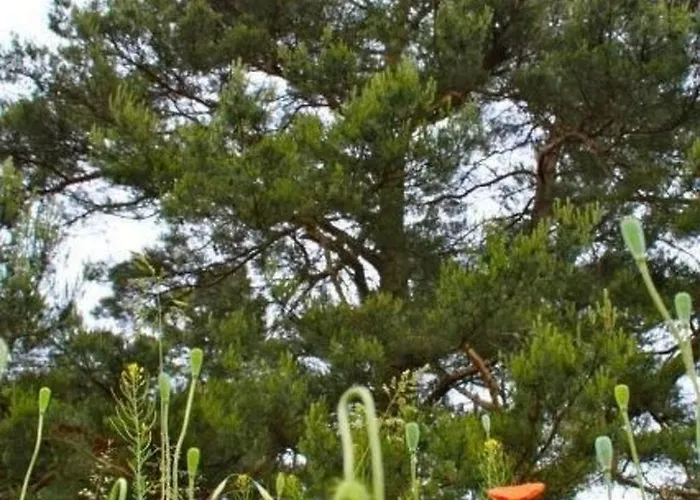 Haus Am Feld 2 By Interhome *