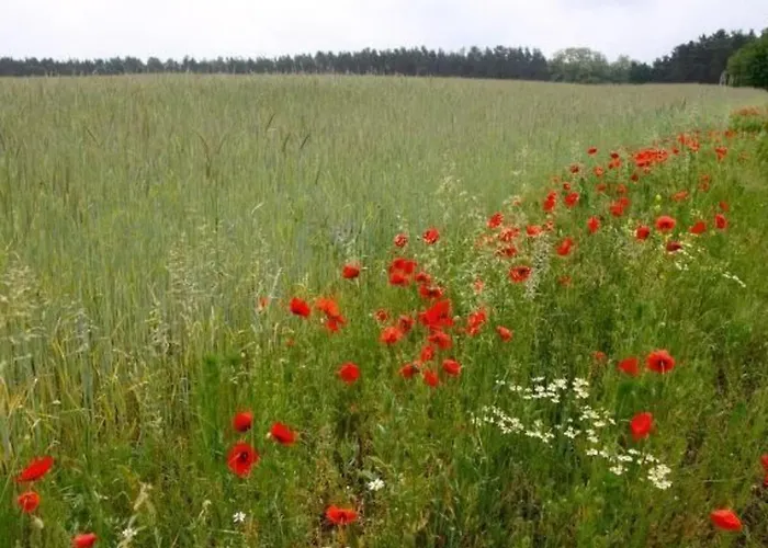 Haus Am Feld 2 By Interhome Сasa de vacaciones *